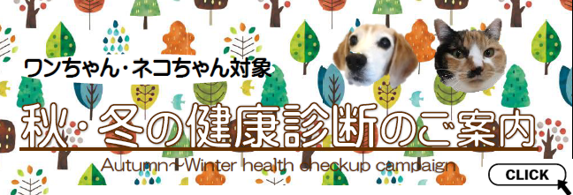 秋・冬の健康診断　2025